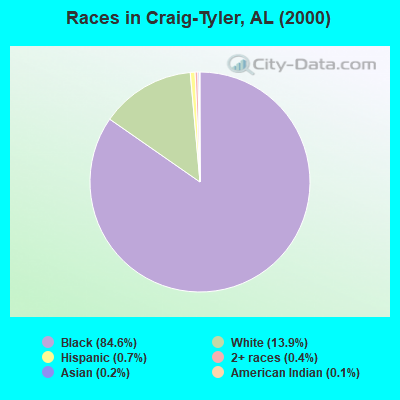 Races in Craig-Tyler, AL (2000)