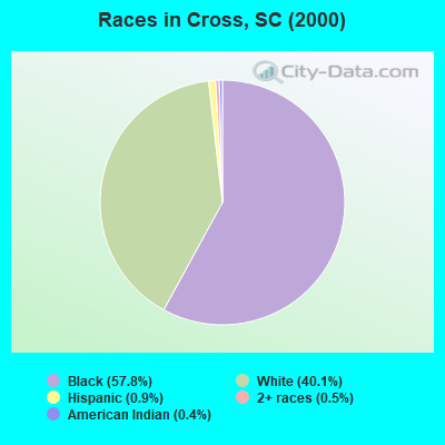 Races in Cross, SC (2000)