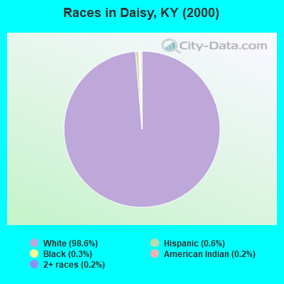 Races in Daisy, KY (2000)