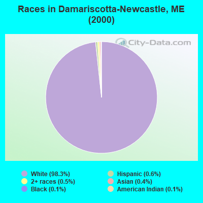 Races in Damariscotta-Newcastle, ME (2000)