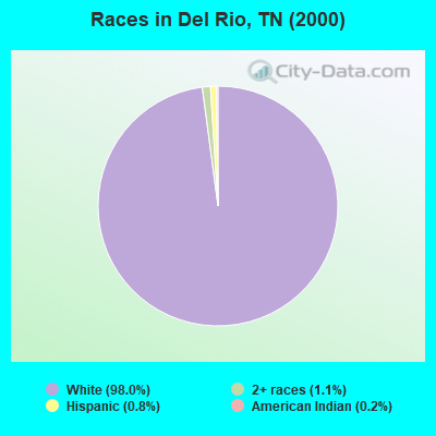 Races in Del Rio, TN (2000)