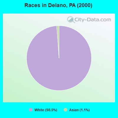 Races in Delano, PA (2000)
