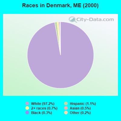 Races in Denmark, ME (2000)