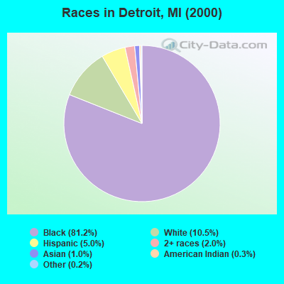 Races in Detroit, MI (2000)