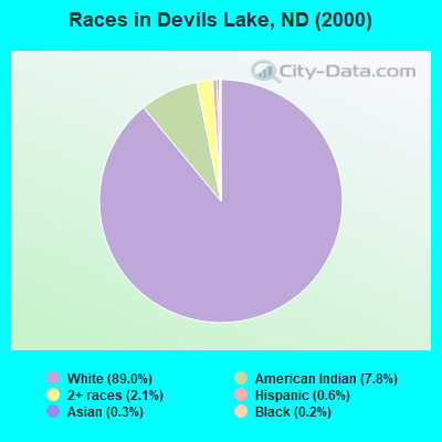 Races in Devils Lake, ND (2000)