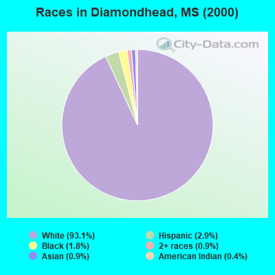 Races in Diamondhead, MS (2000)