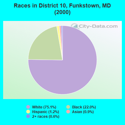 Races in District 10, Funkstown, MD (2000)