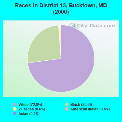 Races in District 13, Bucktown, MD (2000)
