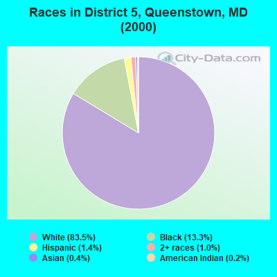 Races in District 5, Queenstown, MD (2000)