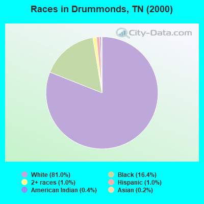 Races in Drummonds, TN (2000)
