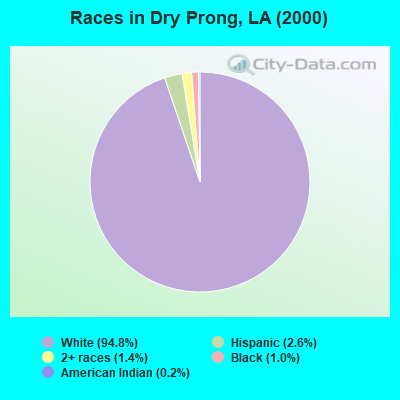 Races in Dry Prong, LA (2000)