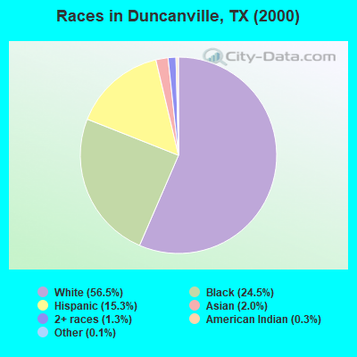 Races in Duncanville, TX (2000)