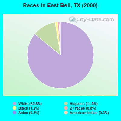 Races in East Bell, TX (2000)
