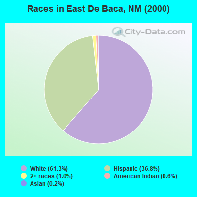 Races in East De Baca, NM (2000)