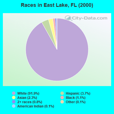 Races in East Lake, FL (2000)