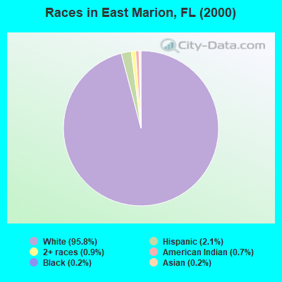 Races in East Marion, FL (2000)