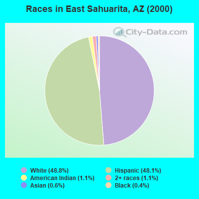 Races in East Sahuarita, AZ (2000)