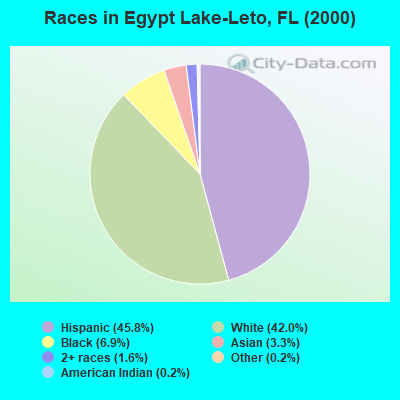 Races in Egypt Lake-Leto, FL (2000)