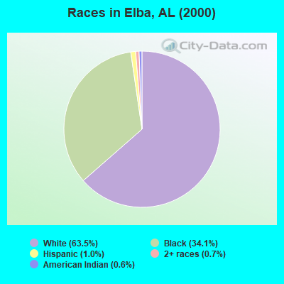 Races in Elba, AL (2000)