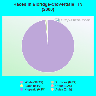 Races in Elbridge-Cloverdale, TN (2000)