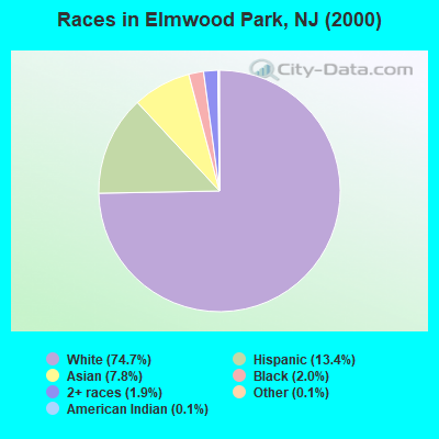 Races in Elmwood Park, NJ (2000)