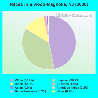 Races in Elwood-Magnolia, NJ (2000)