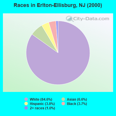 Races in Erlton-Ellisburg, NJ (2000)