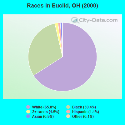 Races in Euclid, OH (2000)