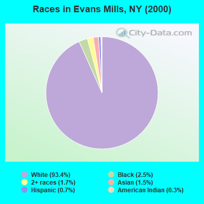 Races in Evans Mills, NY (2000)