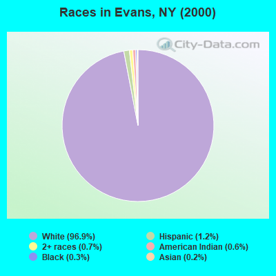 Races in Evans, NY (2000)