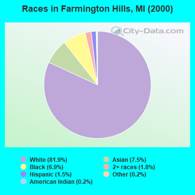 Races in Farmington Hills, MI (2000)