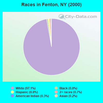 Races in Fenton, NY (2000)