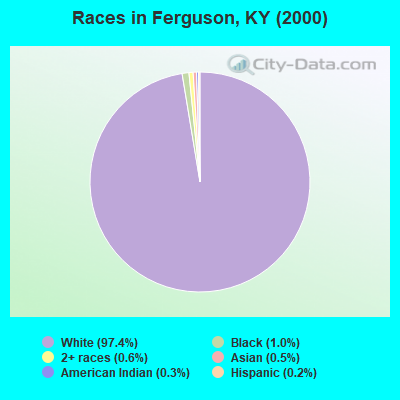 Races in Ferguson, KY (2000)