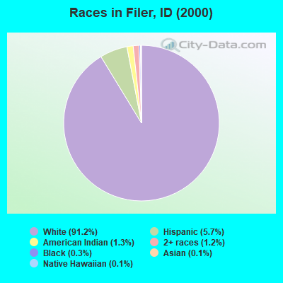 Races in Filer, ID (2000)
