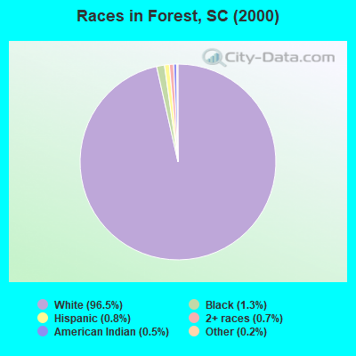 Races in Forest, SC (2000)
