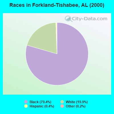 Races in Forkland-Tishabee, AL (2000)
