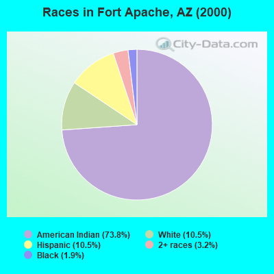 Races in Fort Apache, AZ (2000)