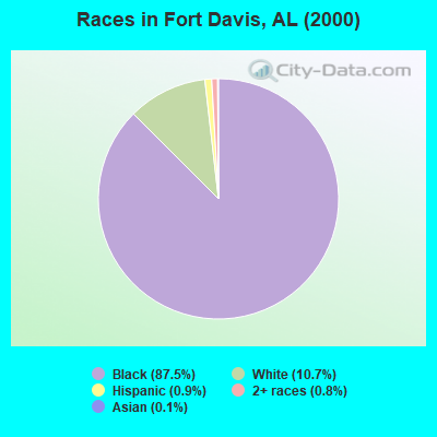 Races in Fort Davis, AL (2000)