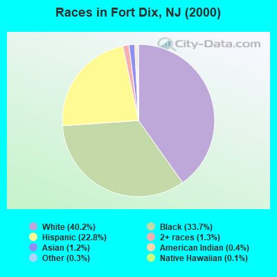 Races in Fort Dix, NJ (2000)