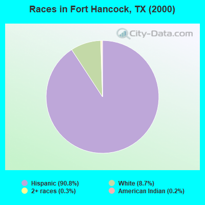 Races in Fort Hancock, TX (2000)