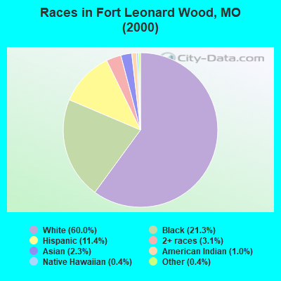 Races in Fort Leonard Wood, MO (2000)