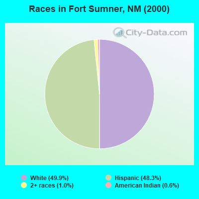 Races in Fort Sumner, NM (2000)