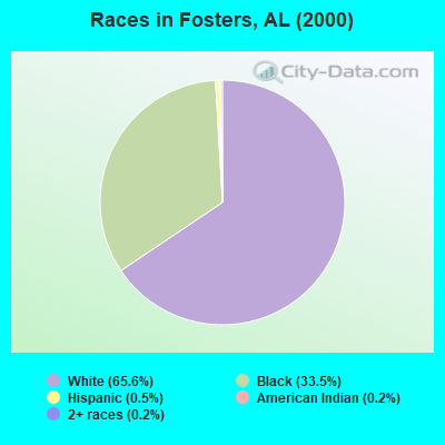 Races in Fosters, AL (2000)
