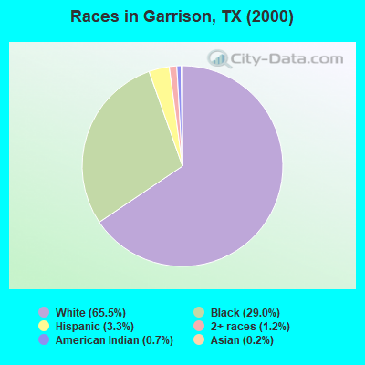 Races in Garrison, TX (2000)