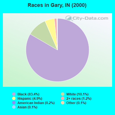 Races in Gary, IN (2000)