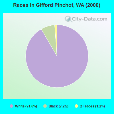 Races in Gifford Pinchot, WA (2000)