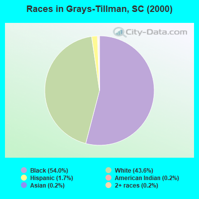 Races in Grays-Tillman, SC (2000)