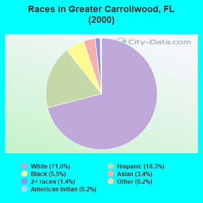 Races in Greater Carrollwood, FL (2000)