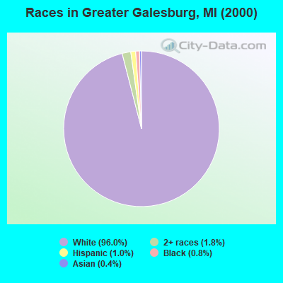 Races in Greater Galesburg, MI (2000)