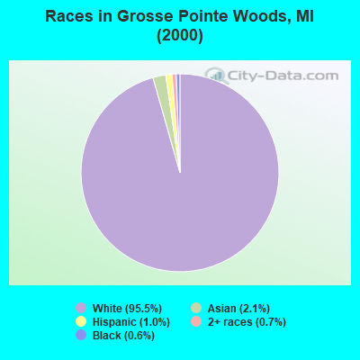 Races in Grosse Pointe Woods, MI (2000)